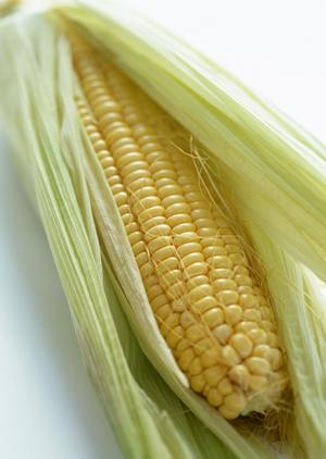 梅田の新たなグルメスポット！牡蠣料理の極上メニューを堪能せよ！