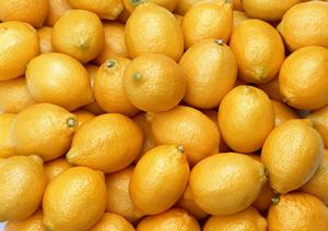 東京で人気のある宅配弁当はこちら