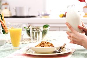 2025年最新版：六本木のおすすめカフェTOP10と選び方ガイド