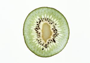 ジミー オンラインショップ|豊富な商品ラインナップと安心のショッピング体験